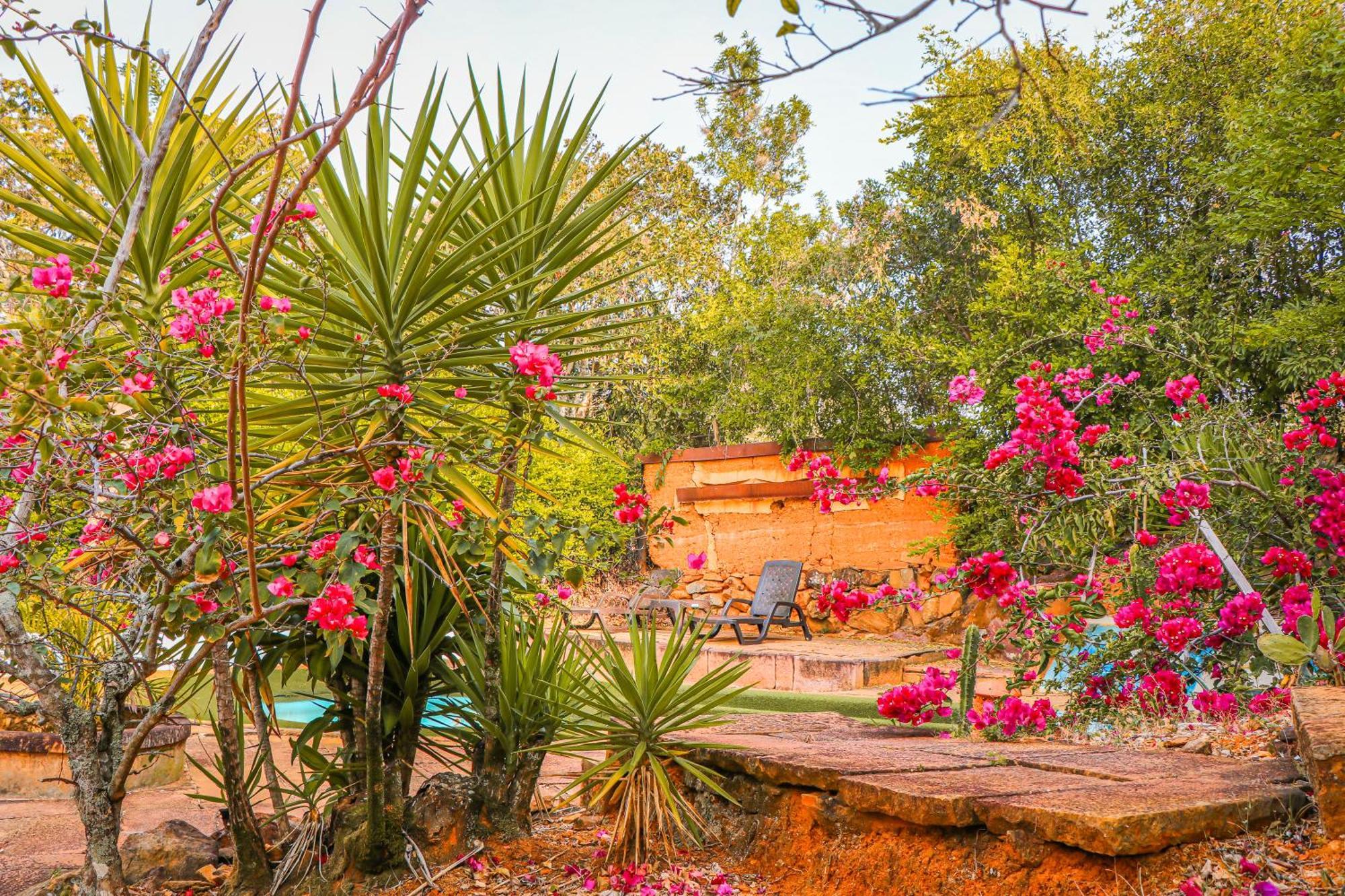 Hotel El Cogollo By Mh Barichara Extérieur photo